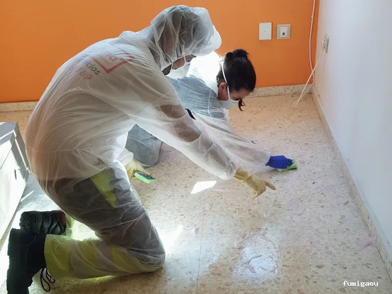 Limpiezas especiales y control de plagas Sevilla