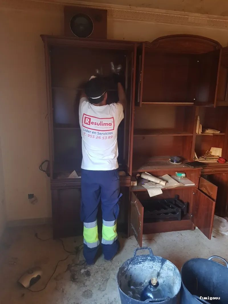 Limpiezas especiales y control de plagas Sevilla