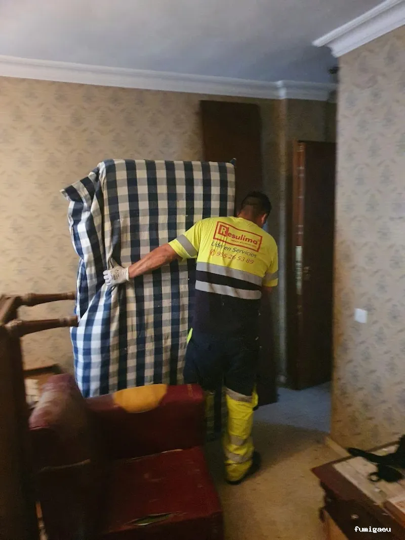 Limpiezas especiales y control de plagas Sevilla