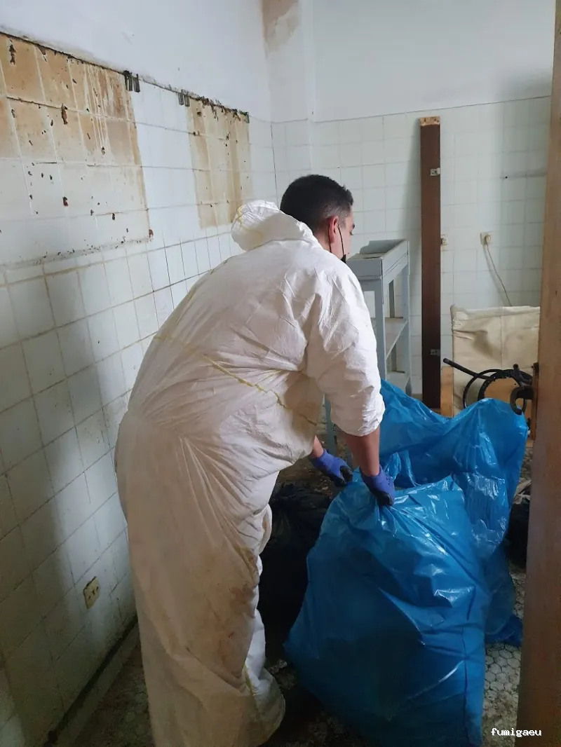 Limpiezas especiales y control de plagas Sevilla