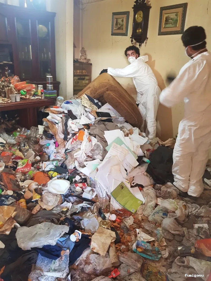 Limpiezas especiales y control de plagas Sevilla