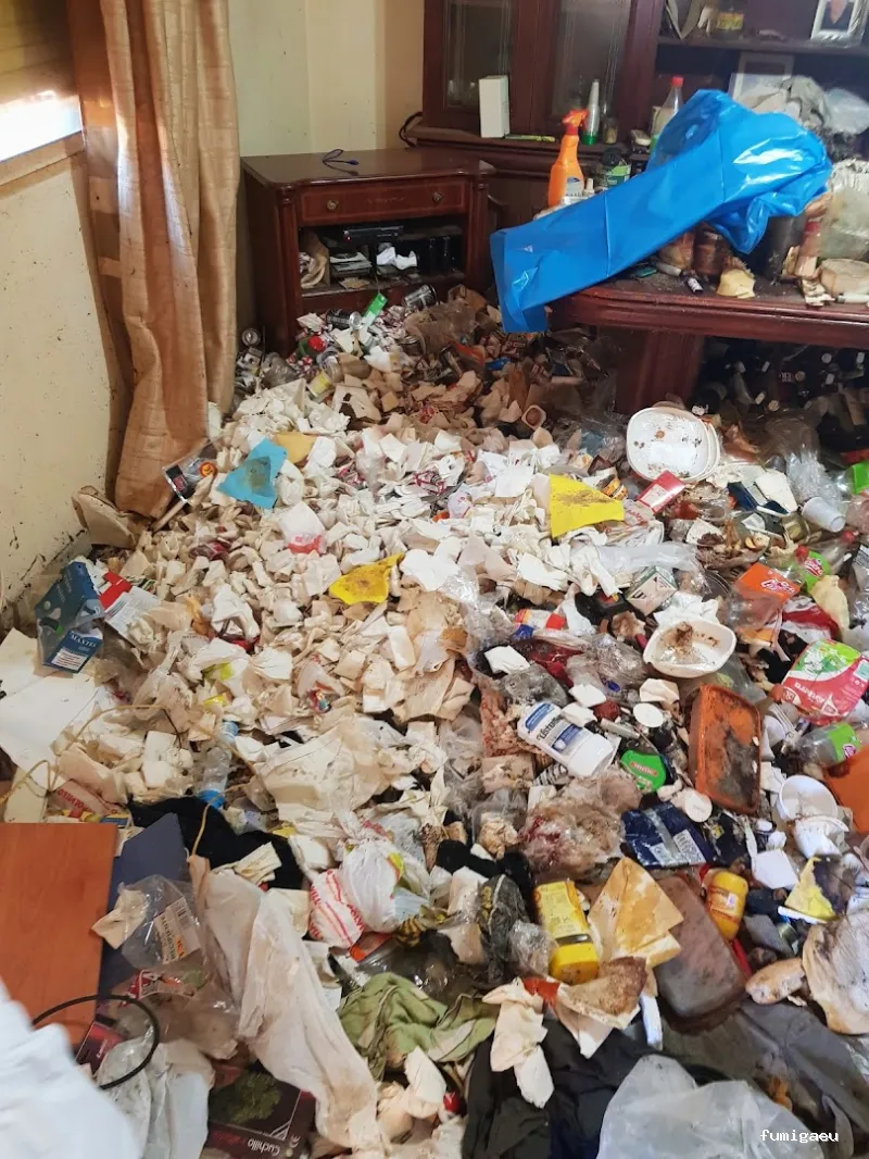 Limpiezas especiales y control de plagas Sevilla