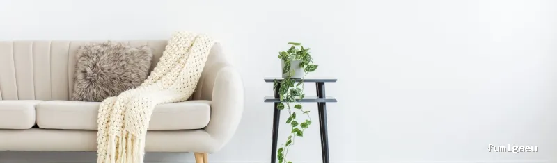 LEU Servicios | Limpiezas Especiales Urgentes y Control de Plagas