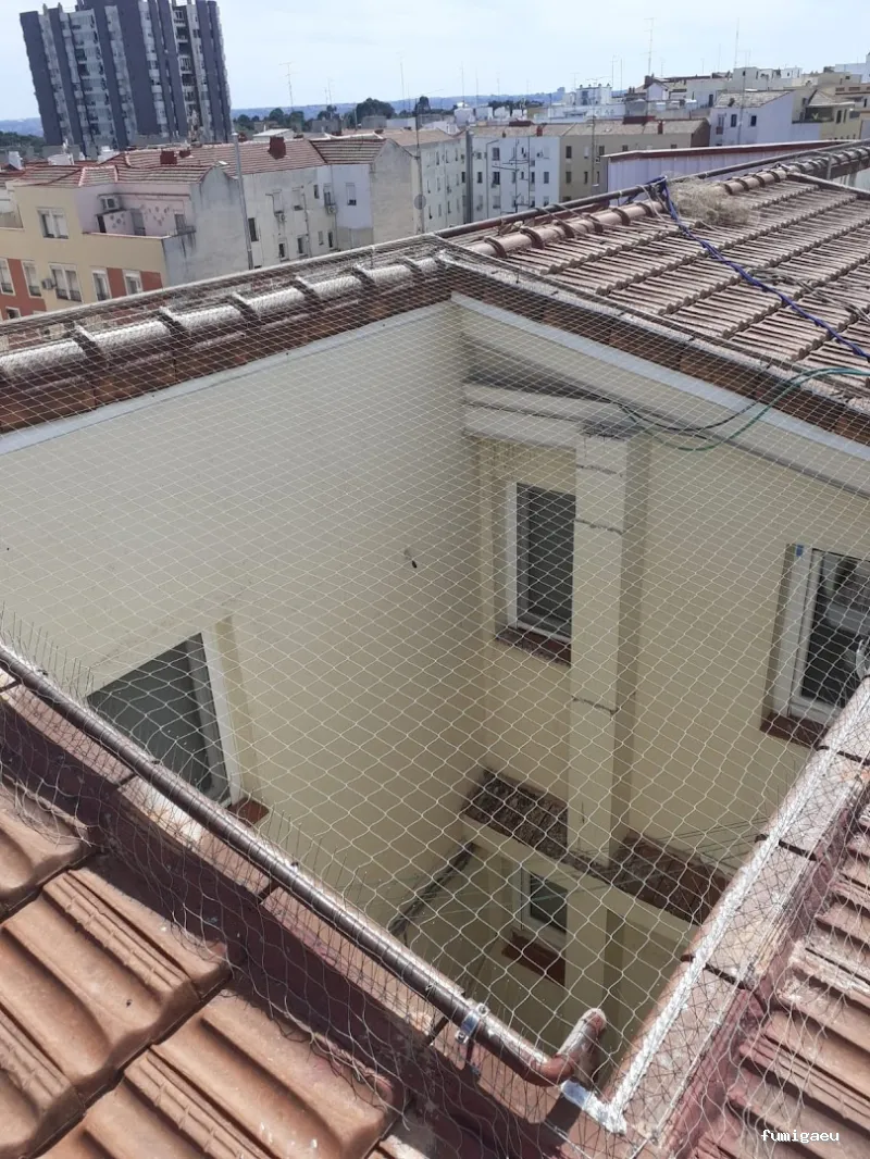 LEU Servicios | Limpiezas Especiales Urgentes y Control de Plagas