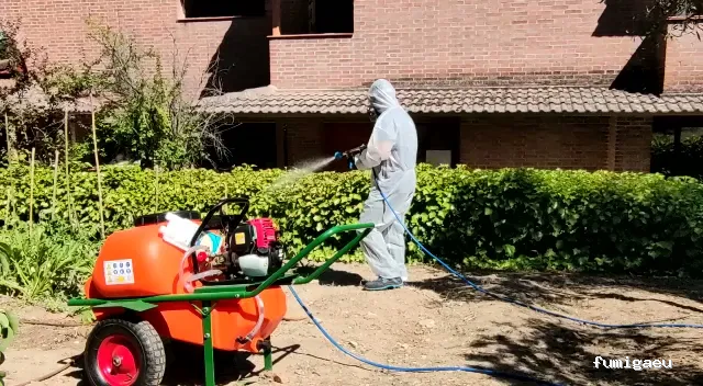 LEU Servicios | Limpiezas Especiales Urgentes y Control de Plagas