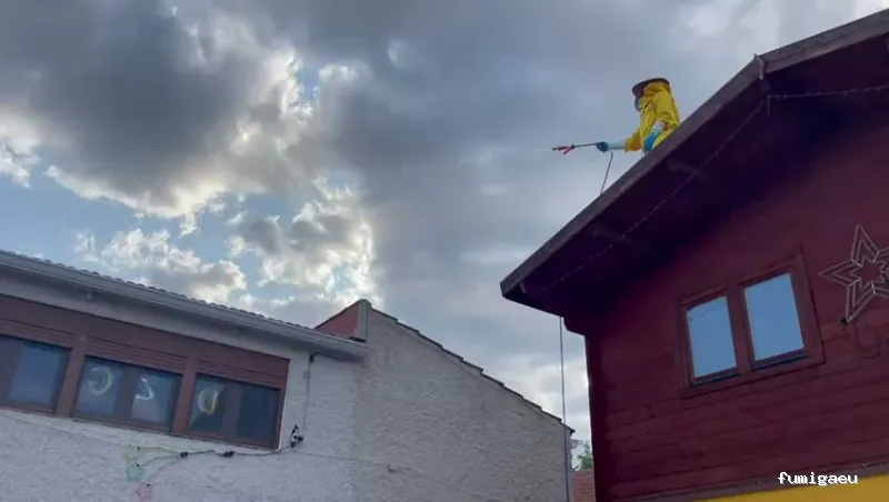 LEU Servicios | Limpiezas Especiales Urgentes y Control de Plagas