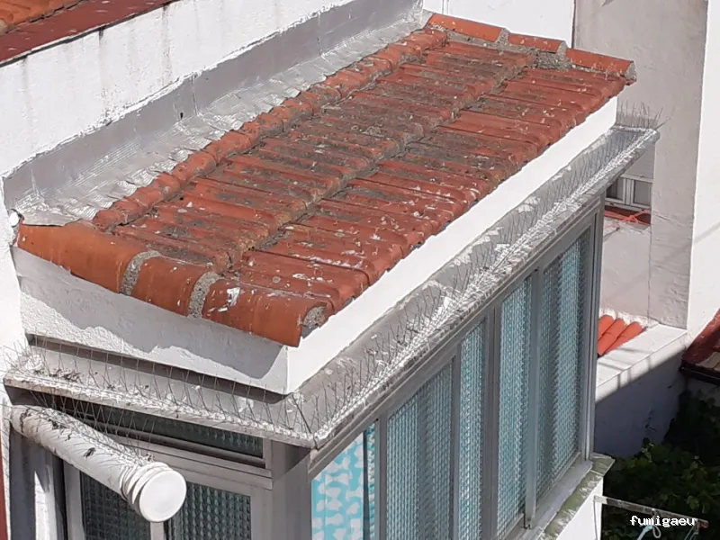 LEU Servicios | Limpiezas Especiales Urgentes y Control de Plagas