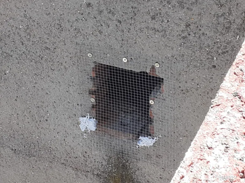 LEU Servicios | Limpiezas Especiales Urgentes y Control de Plagas