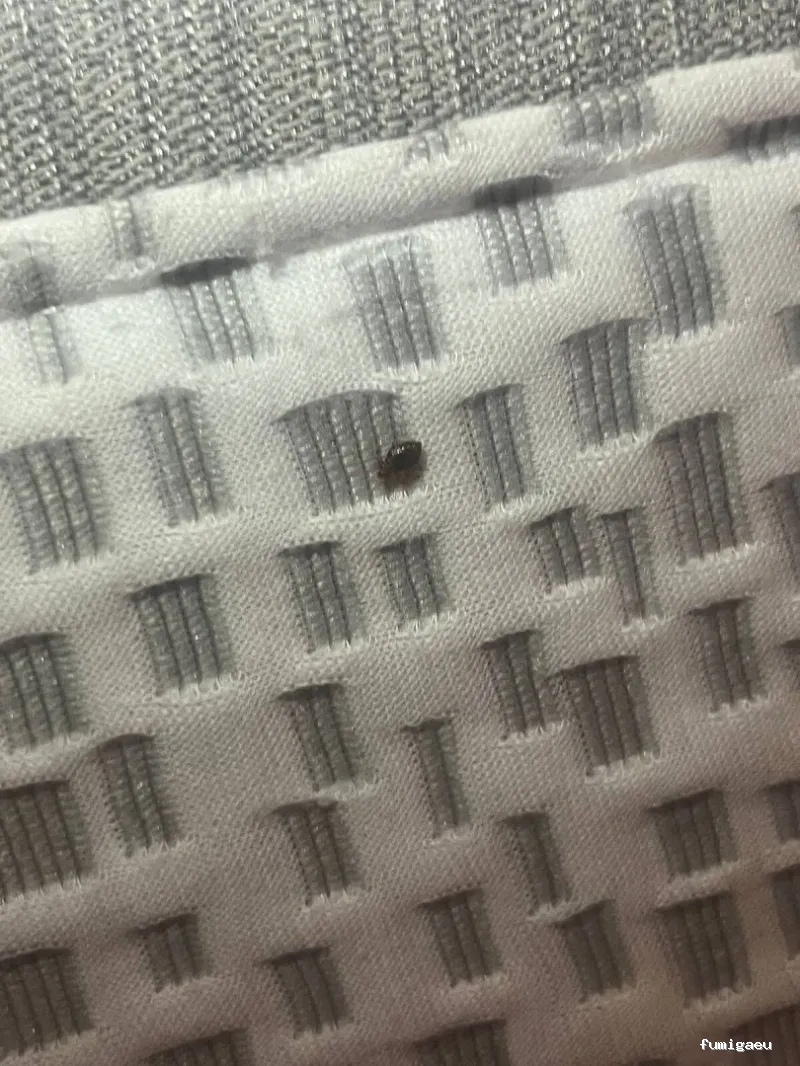 LEU Servicios | Limpiezas Especiales Urgentes y Control de Plagas