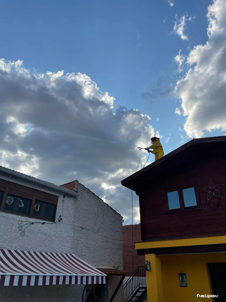 LEU Servicios | Limpiezas Especiales Urgentes y Control de Plagas