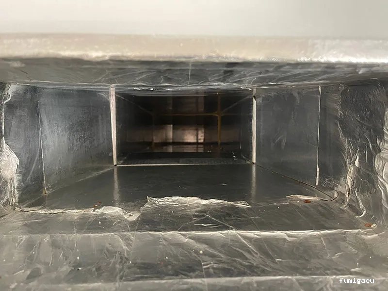 LEU Servicios | Limpiezas Especiales Urgentes y Control de Plagas