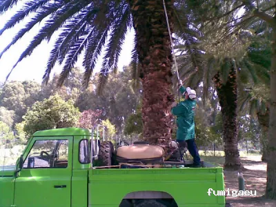 Coplaga Campo de Gibraltar