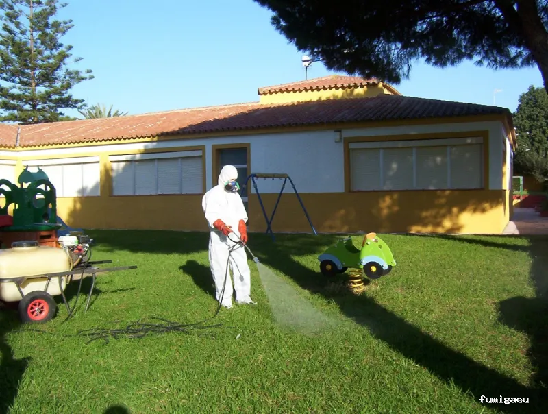 Coplaga Campo de Gibraltar