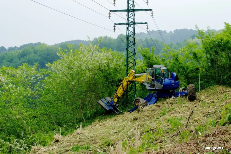 Ecoespacio & Control de Plagas