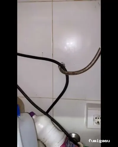 Campos Serrano Biólogos