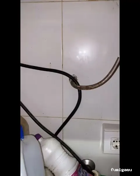 Campos Serrano Biólogos