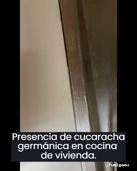 Campos Serrano Biólogos