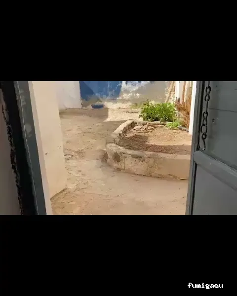 Campos Serrano Biólogos