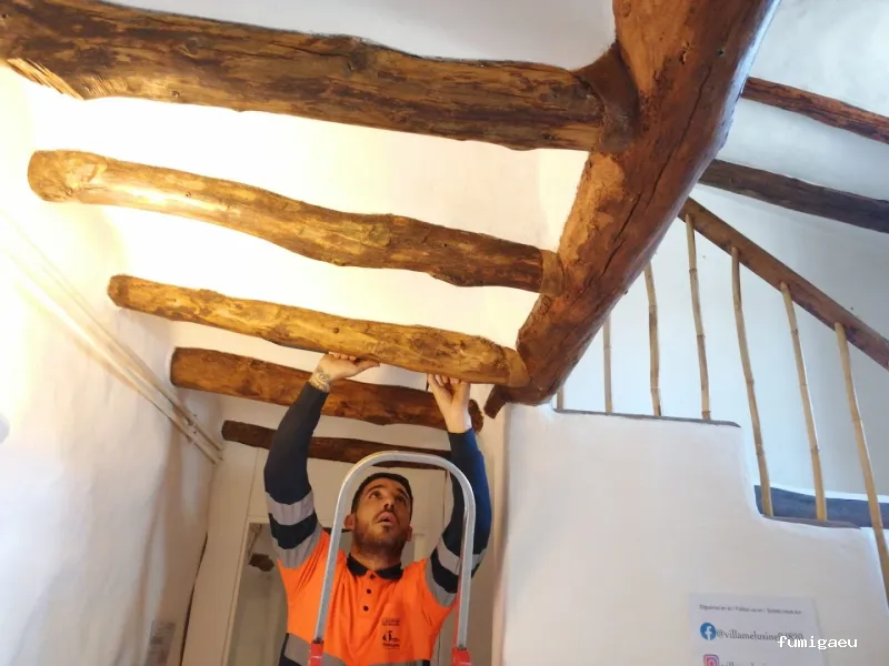 Campos Serrano Biólogos