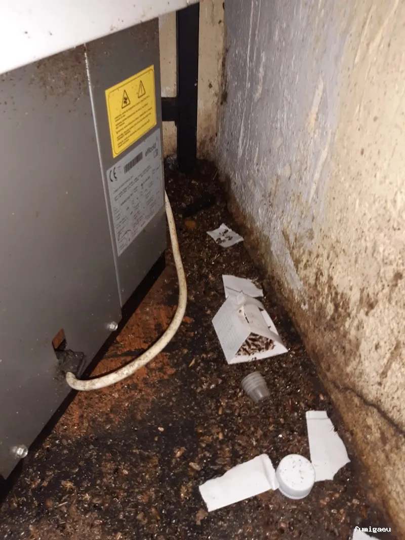 Plagamad Sanidad Ambiental Desinsectación