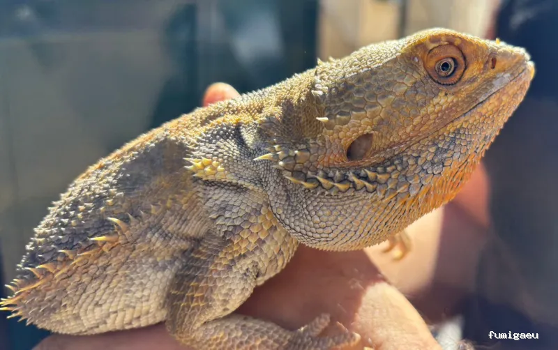 Chemap | Control de plagas en Loja