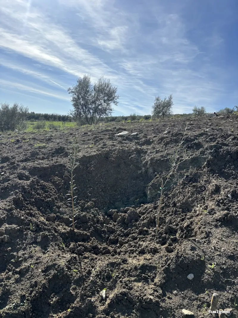 Chemap | Control de plagas en Loja