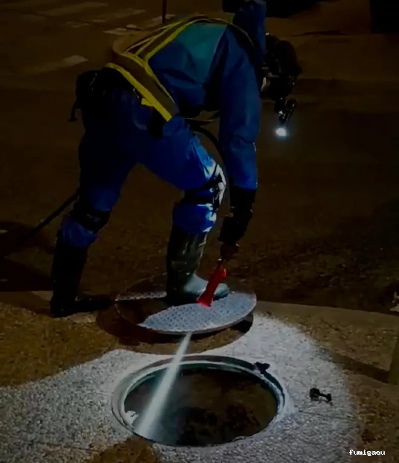 Chemap | Control de plagas en Loja