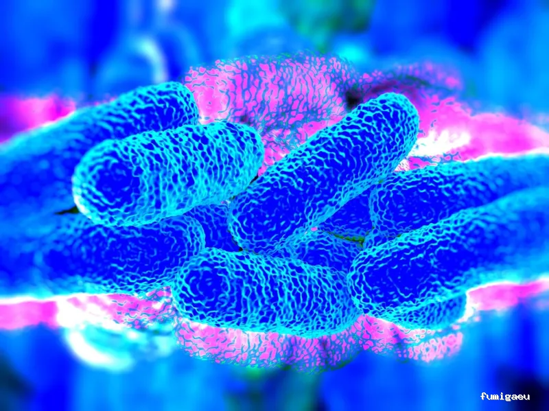 Irabia Control de Plagas - Gipuzkoa