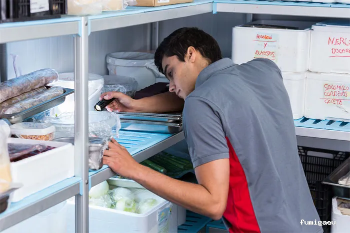 Irabia Control de Plagas - Gipuzkoa