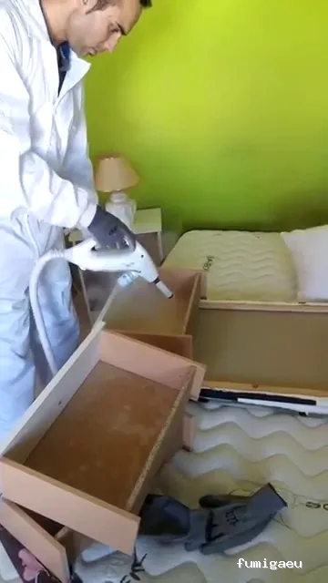 PLAGASOL Desinfección y control de plagas