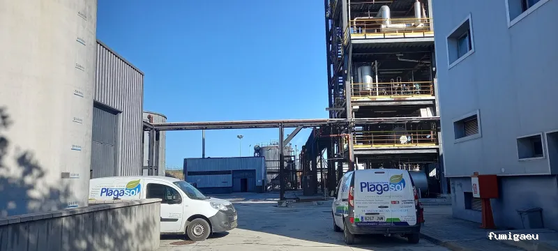 PLAGASOL Desinfección y control de plagas