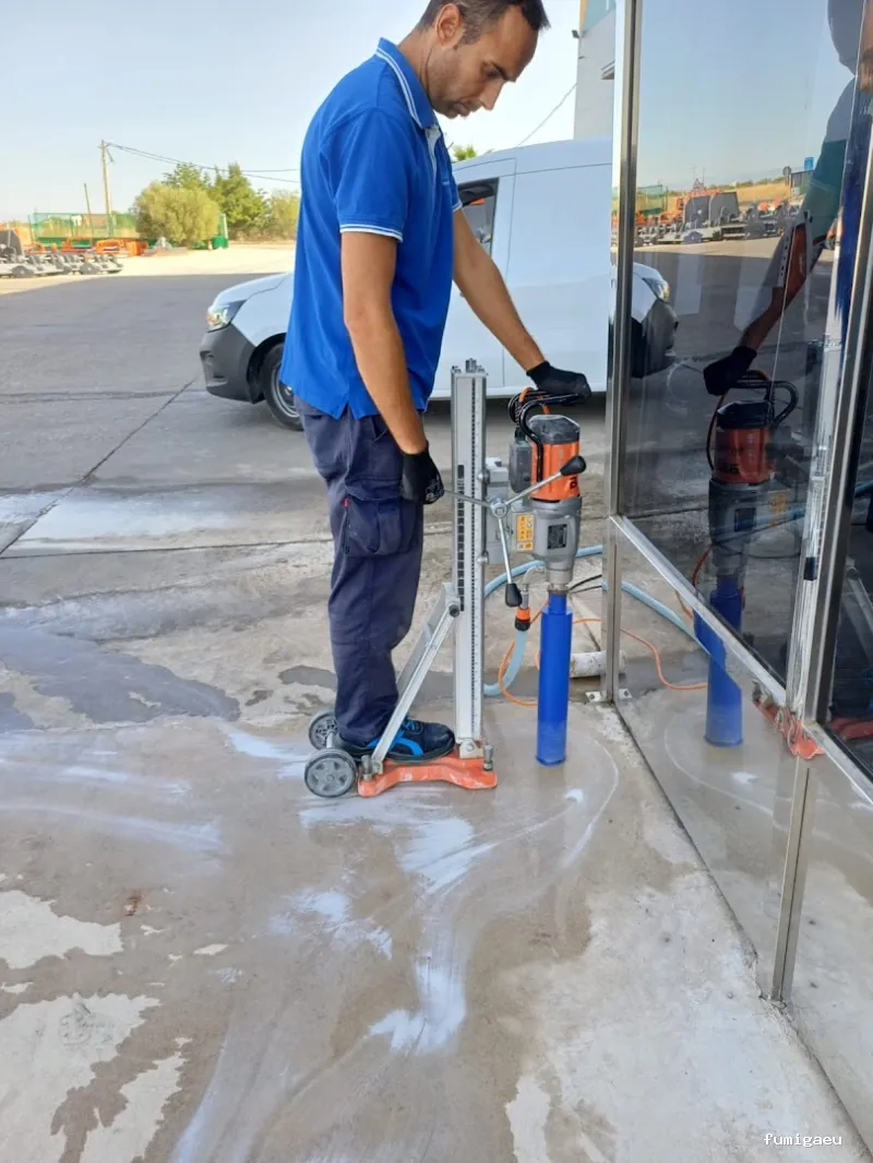 PLAGASOL Desinfección y control de plagas