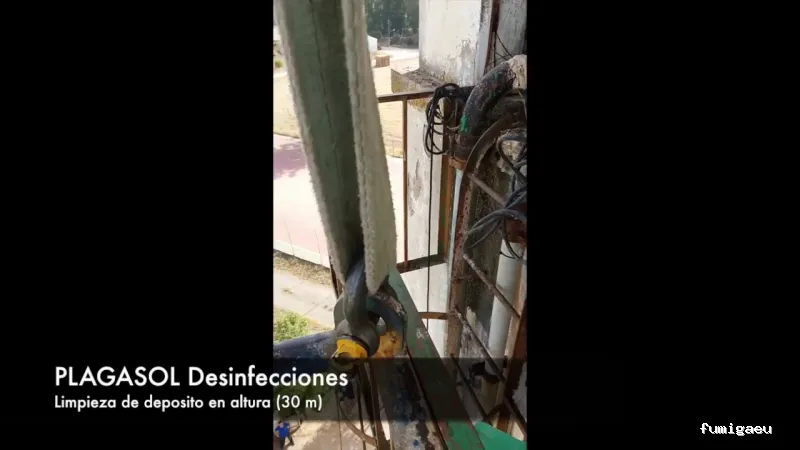 PLAGASOL Desinfección y control de plagas