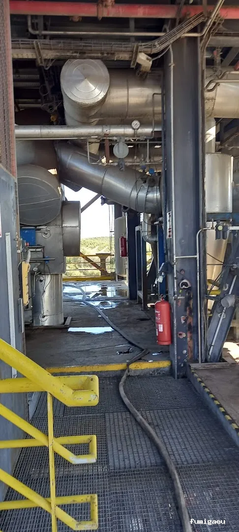 PLAGASOL Desinfección y control de plagas