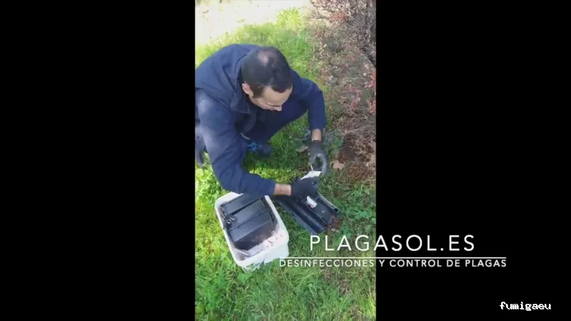 PLAGASOL Desinfección y control de plagas