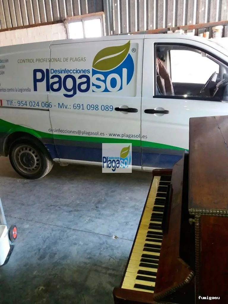 PLAGASOL Desinfección y control de plagas