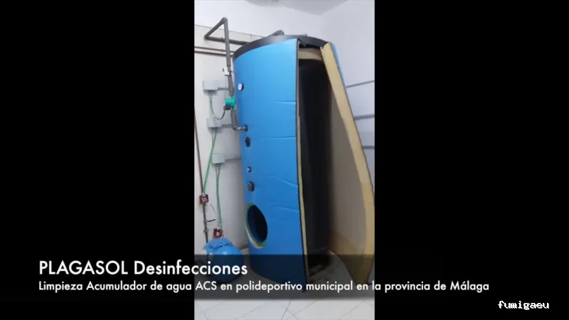 PLAGASOL Desinfección y control de plagas