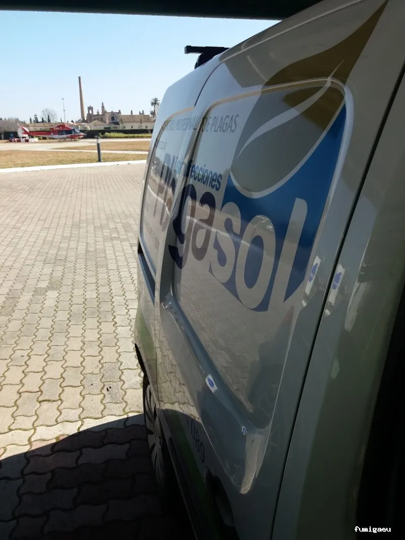 PLAGASOL Desinfección y control de plagas