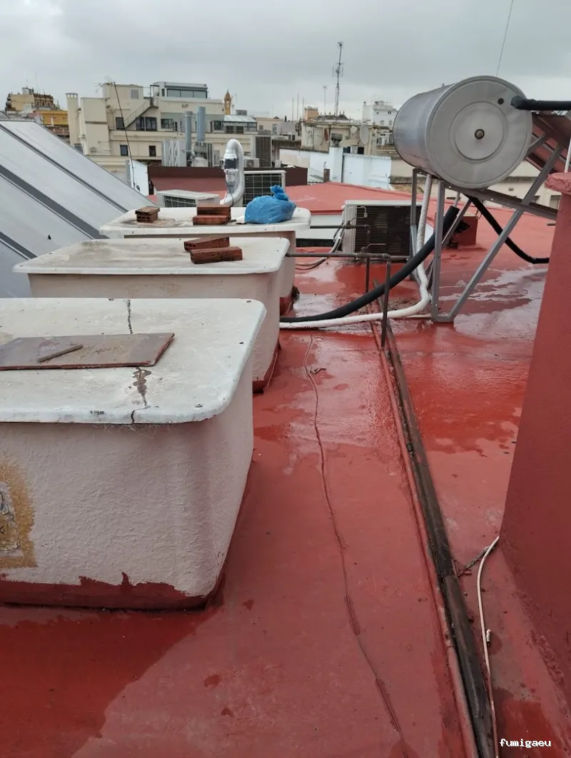 PLAGASOL Desinfección y control de plagas