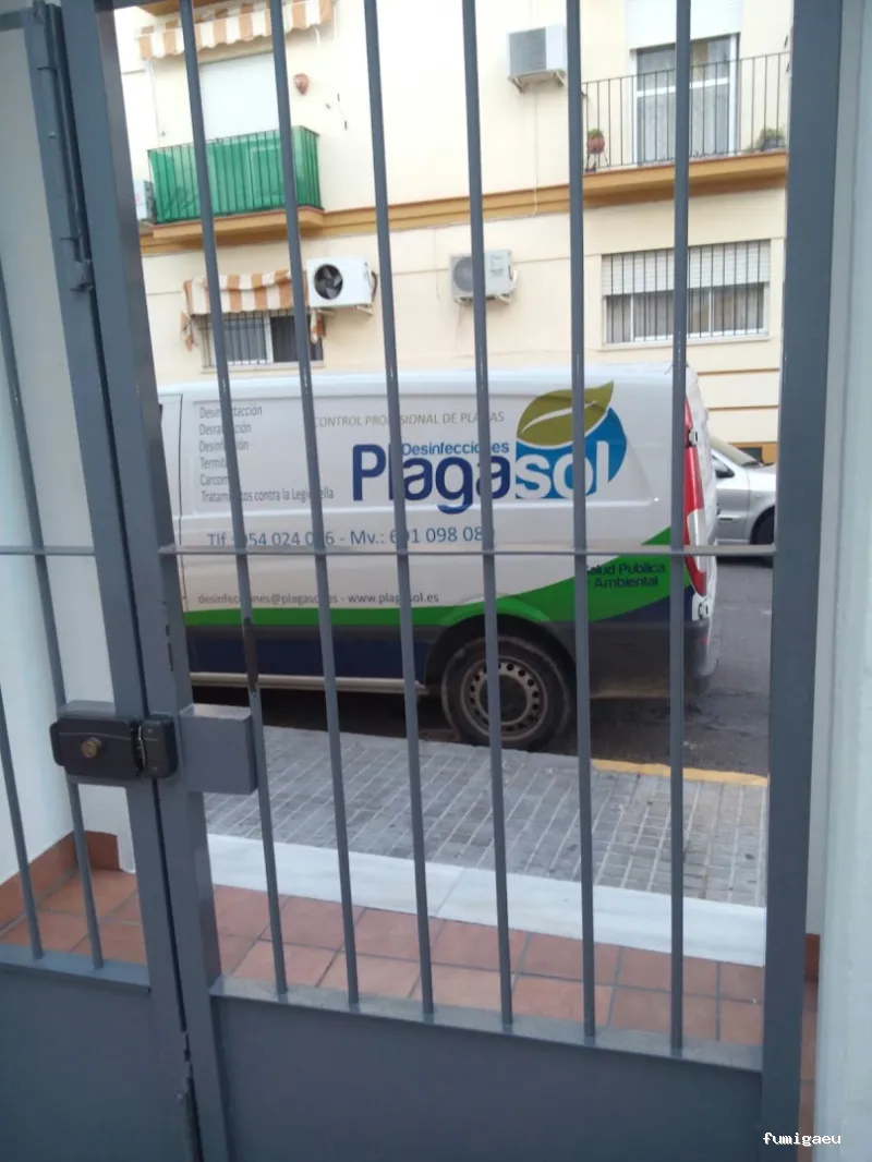 PLAGASOL Desinfección y control de plagas