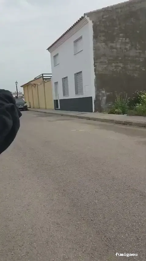 PLAGASOL Desinfección y control de plagas