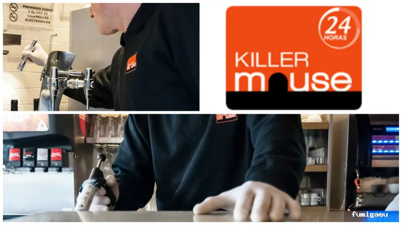Killer Mouse - Control de plagas en Fuenlabrada, Madrid