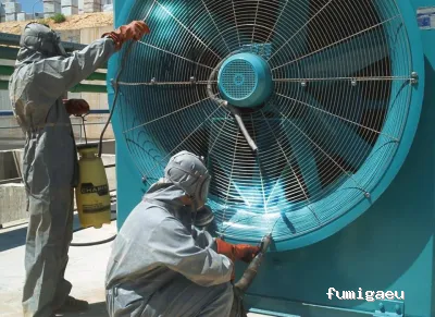 Killer Mouse - Control de plagas en Fuenlabrada, Madrid