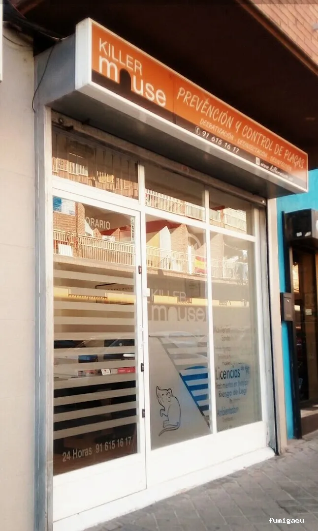 Killer Mouse - Control de plagas en Fuenlabrada, Madrid