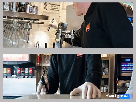 Killer Mouse - Control de plagas en Fuenlabrada, Madrid