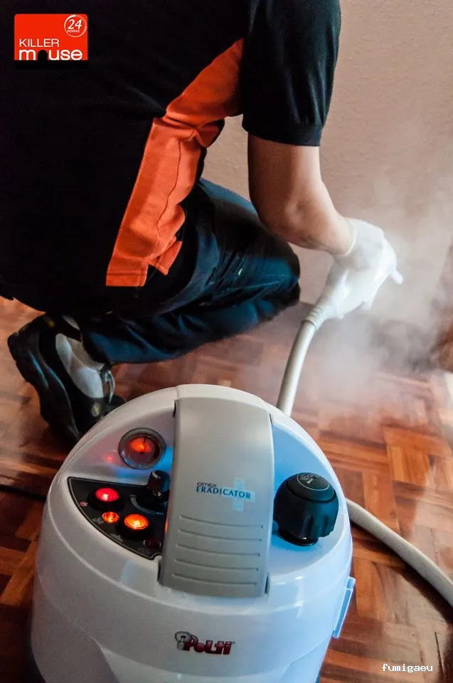 Killer Mouse - Control de plagas en Fuenlabrada, Madrid