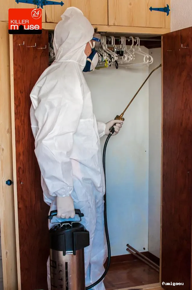 Killer Mouse - Control de plagas en Fuenlabrada, Madrid