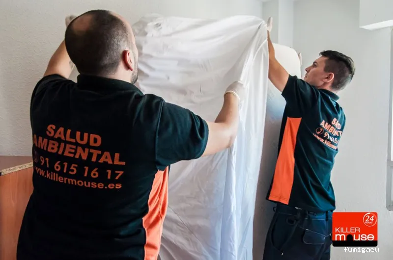 Killer Mouse - Control de plagas en Fuenlabrada, Madrid