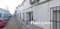 Fumicón - Fumigación y Control de Plagas en Huelva