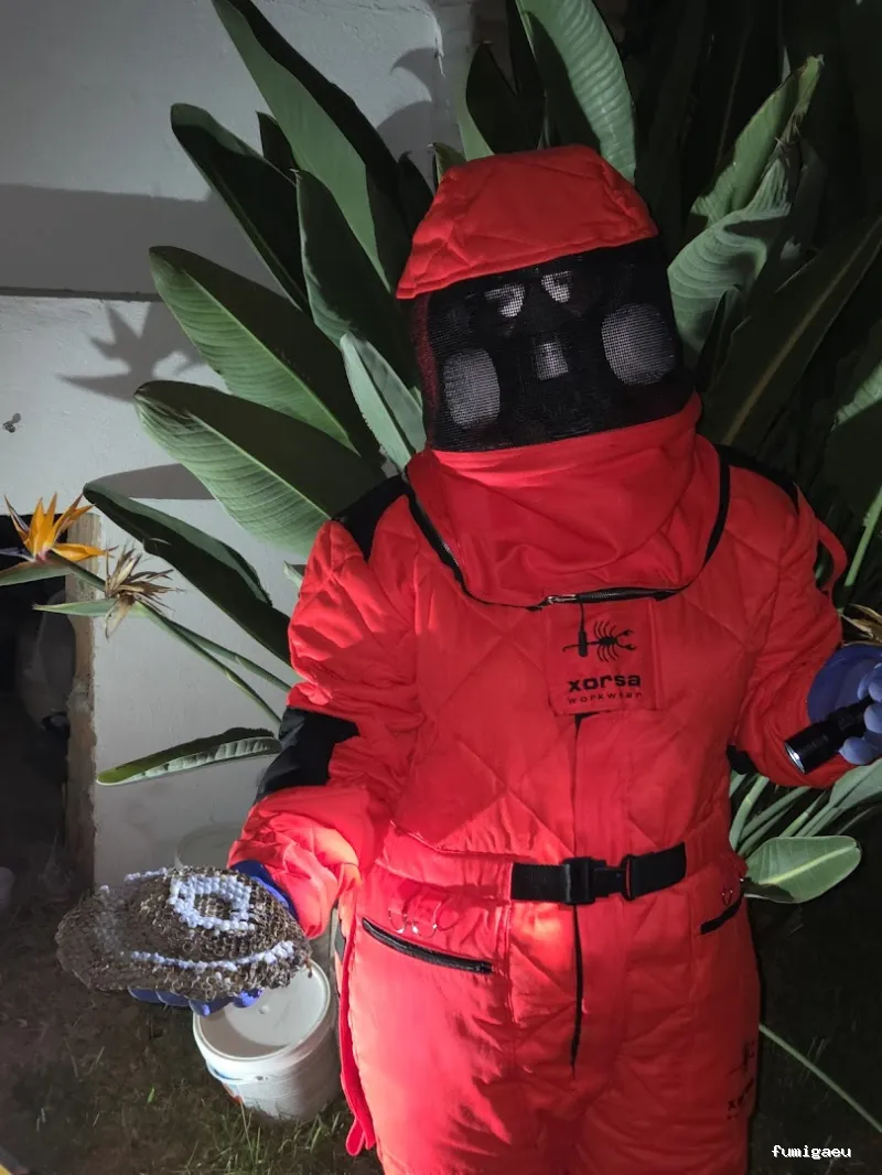 RapiPlaga Control de Plagas Málaga